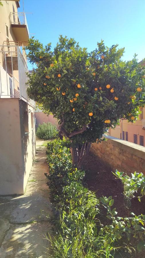فيلا Giardino Della Nonna Bice - Locazioni Turistiche أغريجنتو المظهر الخارجي الصورة